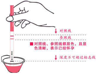 早早孕检查，怀孕要做哪些检查