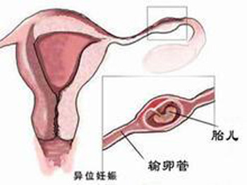 点击可连线医生